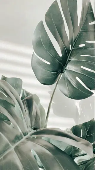 Saki 🍊 荻窪｜nailのネイルデザイン