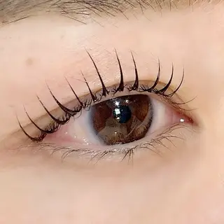 マツエク・マツパ アルターエクラ 飯島のマツエク・マツパデザイン