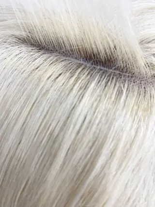 カラー sibelles セイロのヘアスタイル