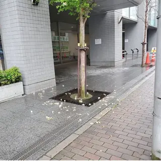 ヘアアレンジ 谷 結奈のヘアスタイル