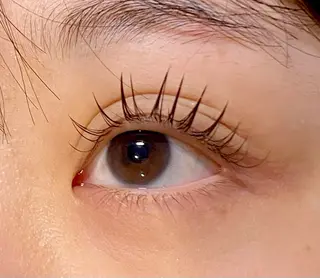 マツエク・マツパ エクラート 渡邉のマツエク・マツパデザイン