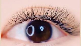 マツエク・マツパ Cute B e au t yのマツエク・マツパデザイン