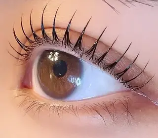 マツエク・マツパ Beautyeyel ash京都中央口店のマツエク・マツパデザイン