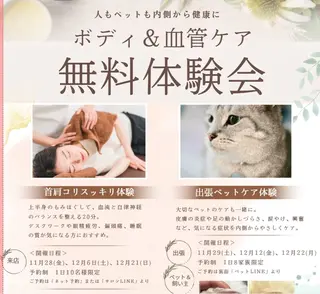 出張リラク/ペット 空 -sora-のエステ・リラクイメージ