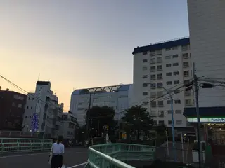 カラー 新島 美恵子のヘアスタイル