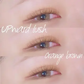 マツエク・マツパ LiTA  中央橋店 NIINOの眉毛・アイブロウイメージ