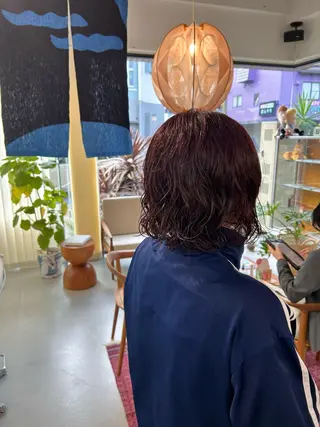 ショート カラー パーマ 藤原 あかりのヘアスタイル