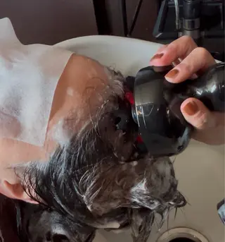 矢口 直樹のヘアスタイル