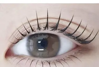 パーマ H eraのマツエク・マツパデザイン