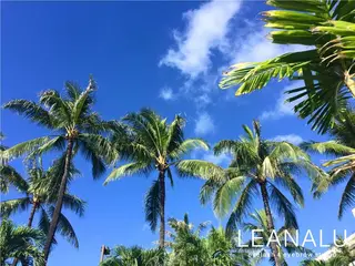 マツエク・マツパ Leanalu kawasakiのマツエク・マツパデザイン