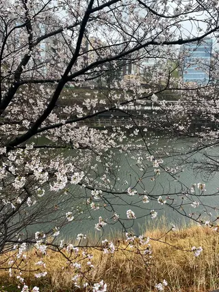 小鴨 美佳のヘアスタイル