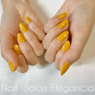 カラー ネイル Elegancia. Hiromiのネイルデザイン