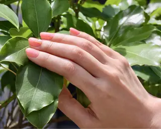 ネイル Elio 国泰寺のネイルデザイン