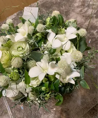 ララ＆プラピール 脱毛＆よもぎ蒸しのエステ・リラクイメージ