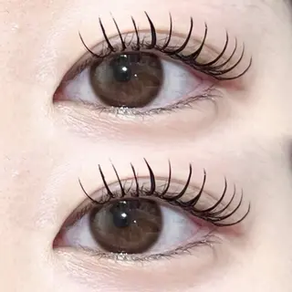 マツエク・マツパ 🤍𐙚KONOHO 束感まつ毛𐙚🤍のマツエク・マツパデザイン