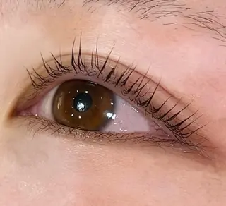 マツエク・マツパ 前田 亜由美のヘアスタイル