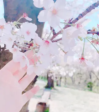 まつげ屋さん maiのマツエク・マツパデザイン