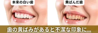 歯科提携セルフダック 宇都宮駒生店のエステ・リラクイメージ