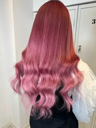 ロング カラー ショート/ウルフ カットモデル募集のヘアスタイル