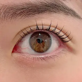 マツエク・マツパ ai一重専門🎀束感 まつげ🫧表参道のマツエク・マツパデザイン