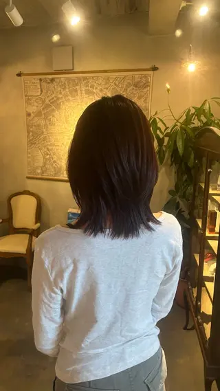 セミロング 🦭☪️Azumiボ ブ/レイヤー☪️🦭のヘアスタイル