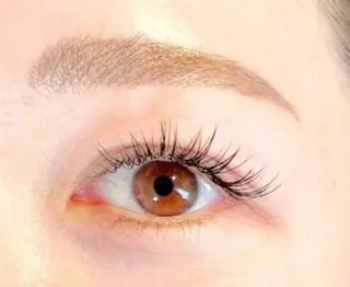 アイブロウ LCエルシー 矢場町店【スクール】のマツエク・マツパデザイン