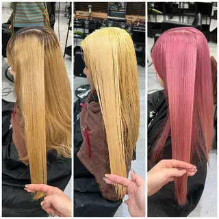 ロング カラー ショート/ウルフ カットモデル募集のヘアスタイル