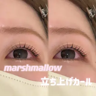 マツエク・マツパ chiri／似合わせ ×韓ドルまつ毛パーマのマツエク・マツパデザイン
