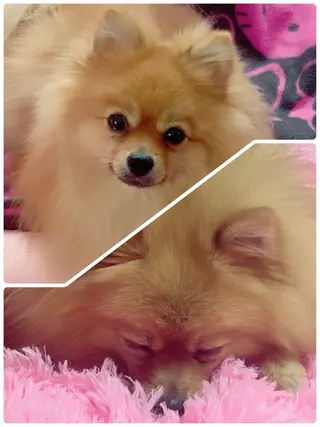 relaxation HARUりらはるのエステ・リラクイメージ