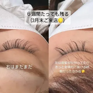 マツエク・マツパ Liberte CHIAKIのマツエク・マツパデザイン
