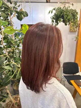 ミディアム カラー 💐レイヤー/ 暖色/りゅーき💐のヘアスタイル