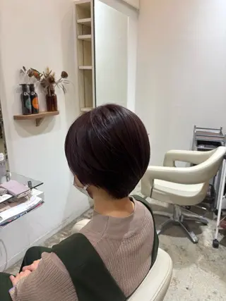 ショート 佐藤 優里のヘアスタイル