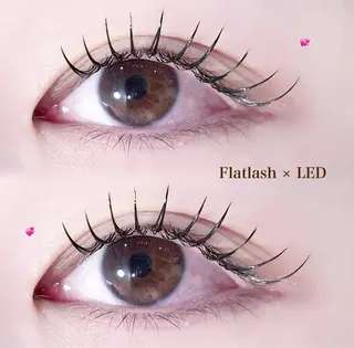 マツエク・マツパ Lucia 矢野のマツエク・マツパデザイン