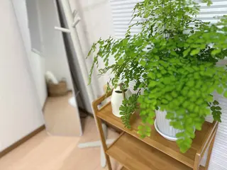 【felice】 Takahashiのマツエク・マツパデザイン