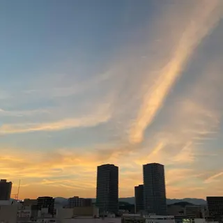 TIDEHAIR SHIHOのヘアスタイル