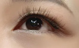 マツエク・マツパ nico所属・Shiho 🌼のマツエク・マツパデザイン