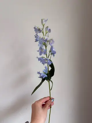 🪻花屋併設🪻秀島 有紀のヘアスタイル