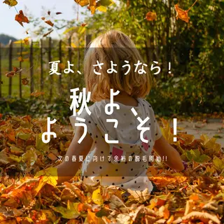 セルフ脱毛 atelier aoのエステ・リラクイメージ