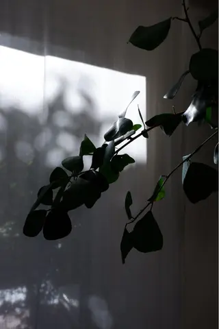 パーソナルカラー診断 骨格/顔🪞Kanaのその他イメージ