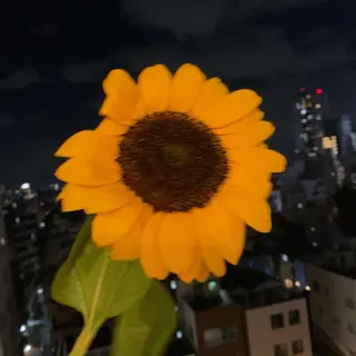 神山 ビューティー・アイのマツエク・マツパデザイン