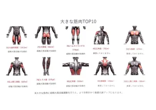 ポー・ラ・サンテ 新宿御苑店のその他イメージ