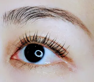 マツエク・マツパ MAXまつ毛&  フェイシャルのマツエク・マツパデザイン