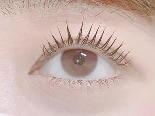 マツエク・マツパ Laurel eye ローレルのマツエク・マツパデザイン