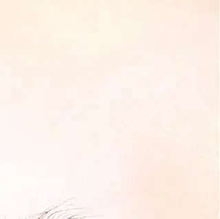 マツエク・マツパ eyelash- r🌹の眉毛・アイブロウイメージ