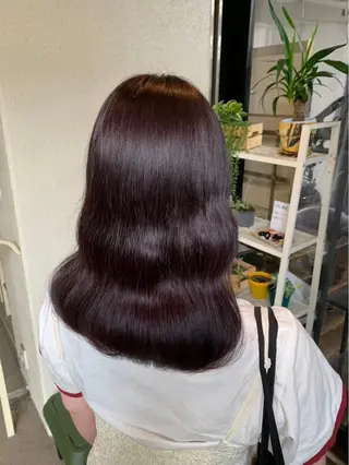 カラー ピンク🎀/艶カラー /SAKURA🎀のヘアスタイル