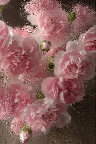 🦋 Natsumiのマツエク・マツパデザイン