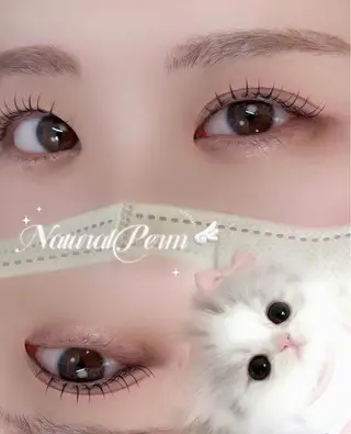 マツエク・マツパ Olivia Blueのマツエク・マツパデザイン