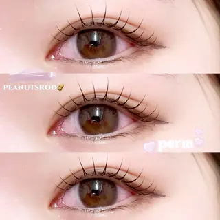 マツエク・マツパ Ren♡韓国風まつ毛 ┋LED┋パリエクのマツエク・マツパデザイン