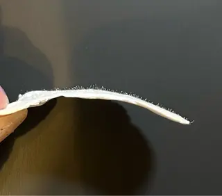 tomo_ eyelash_のマツエク・マツパデザイン