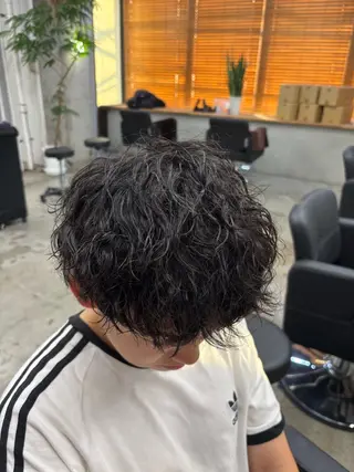 パーマ メンズ mono / Manatoのヘアスタイル